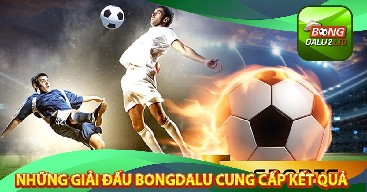 Những giải đấu mà bongdalu cung cấp kết quả bóng đá